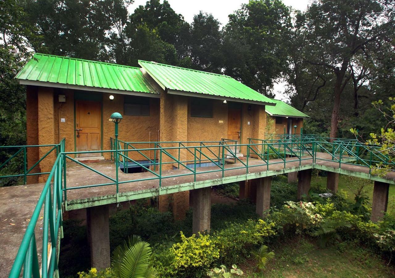 Mpt White Tiger Forest Lodge Tala  Exterior photo