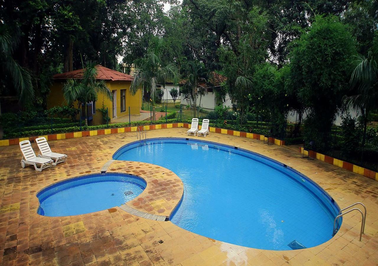 Mpt White Tiger Forest Lodge Tala  Exterior photo